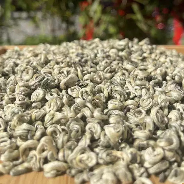 Full bud Biluochun green tea 2025 new tea Mingqian spring tea strong aroma Yunnan green tea single bud